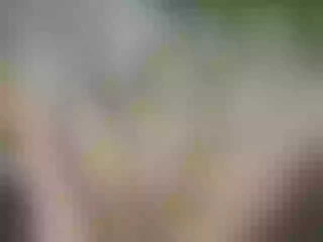 Live sex webcam photo for CelineMeyer #290235957