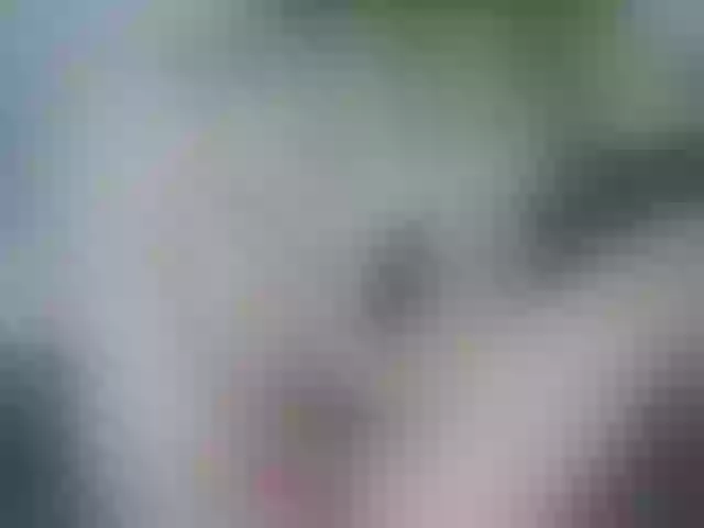 Live sex webcam photo for CelineMeyer #290273711