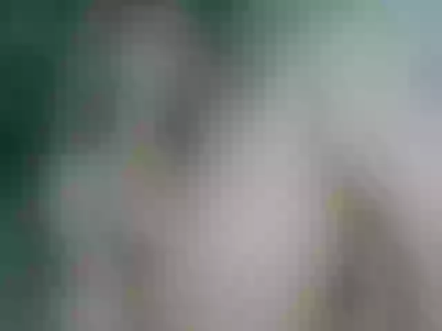 Live sex webcam photo for CelineMeyer #290582316