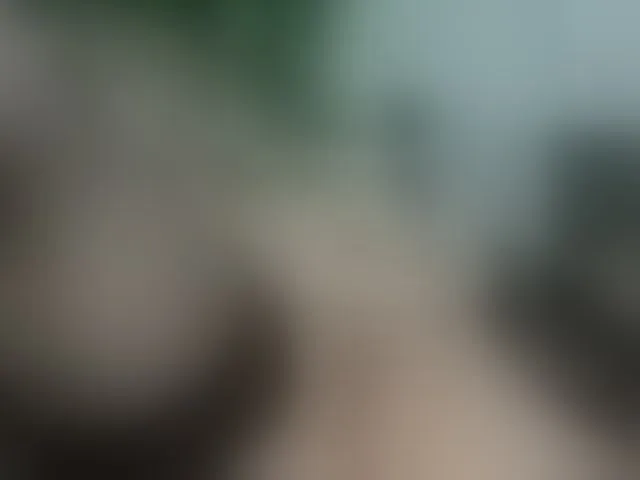 Live sex webcam photo for CelineMeyer #291044032