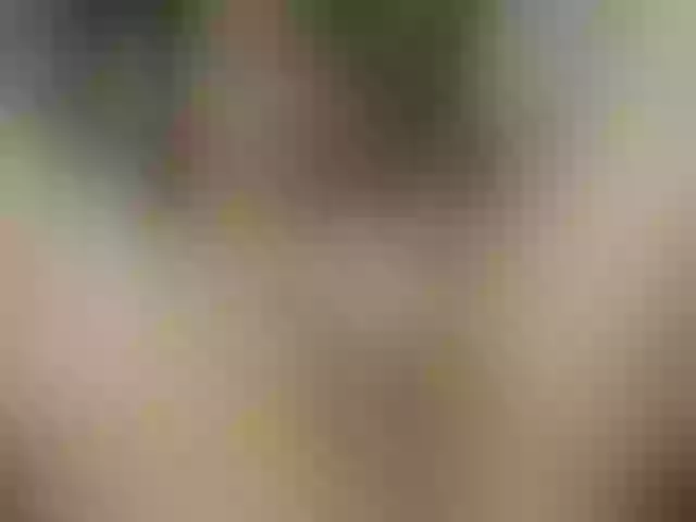 Live sex webcam photo for CelineMeyer #291070427