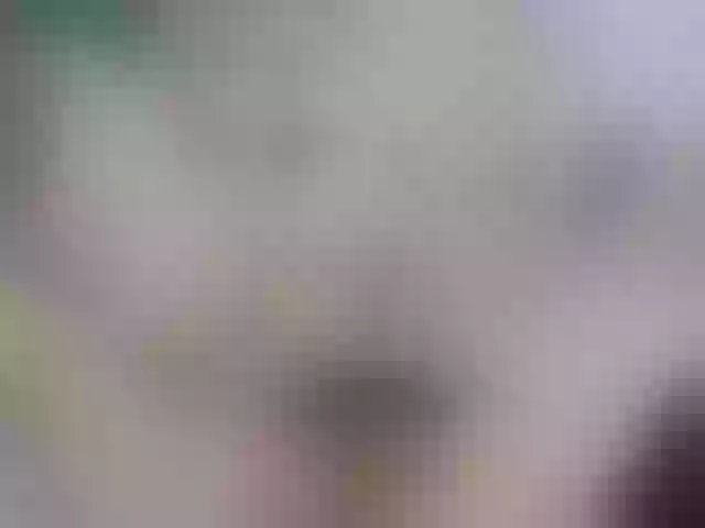 Live sex webcam photo for CelineMeyer #291319156