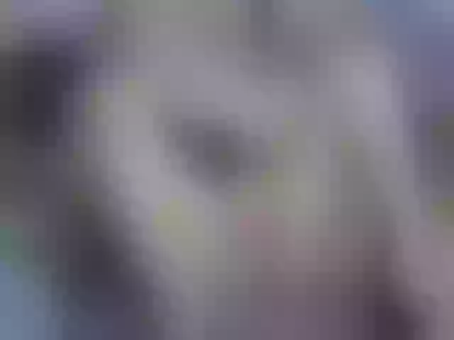 Live sex webcam photo for CelineMeyer #291337831