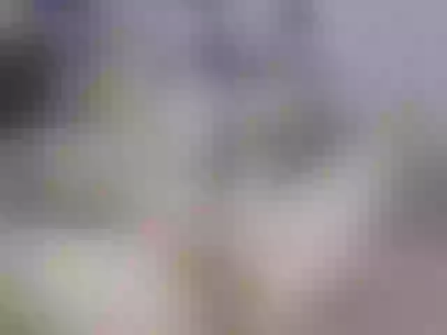 Live sex webcam photo for CelineMeyer #291369953
