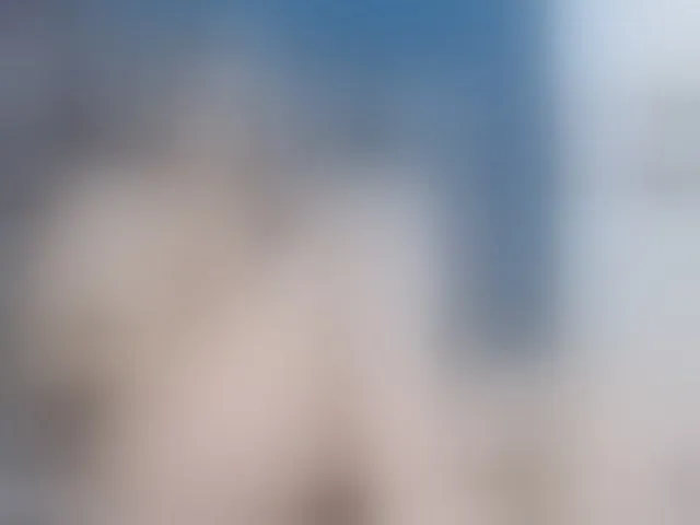 Live sex webcam photo for CelineMeyer #291513935
