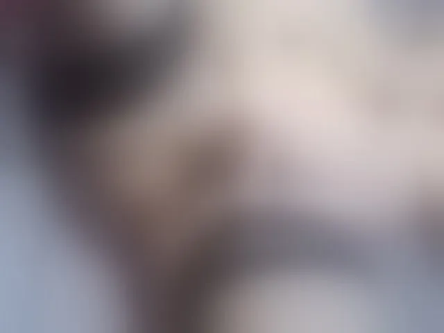 Live sex webcam photo for CelineMeyer #292369359