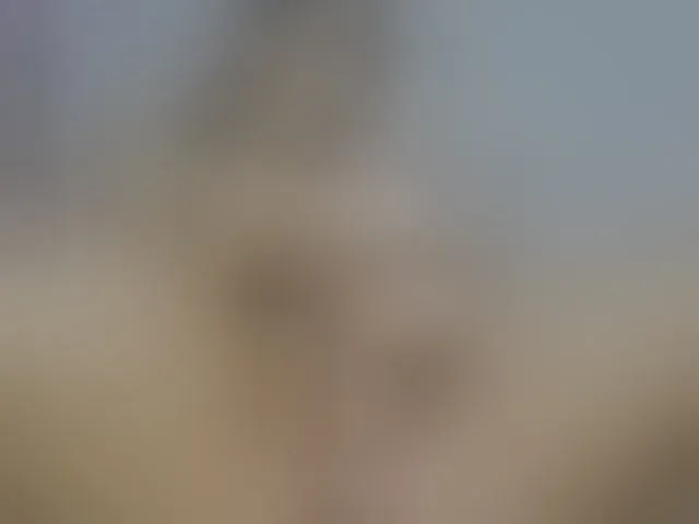 Live sex webcam photo for CelineMeyer #292462142