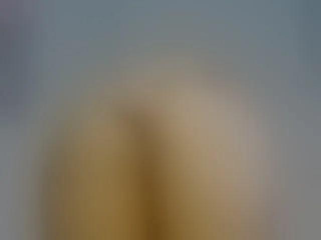 Live sex webcam photo for CelineMeyer #292501127