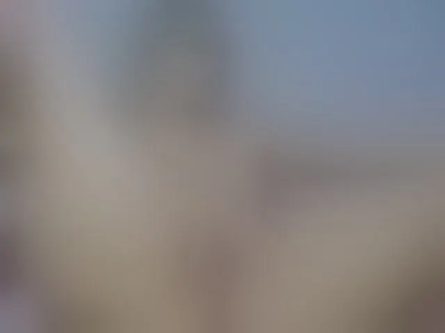 Live sex webcam photo for CelineMeyer #292606482