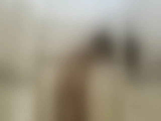 Live sex webcam photo for Chaarlotte #273993325