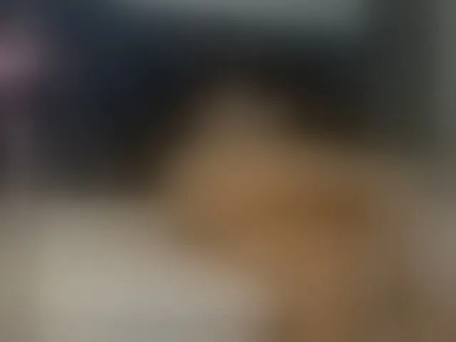 Live sex webcam photo for ChannelRhys #277312754