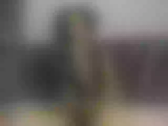 Live sex webcam photo for ChannelRhys #277388052