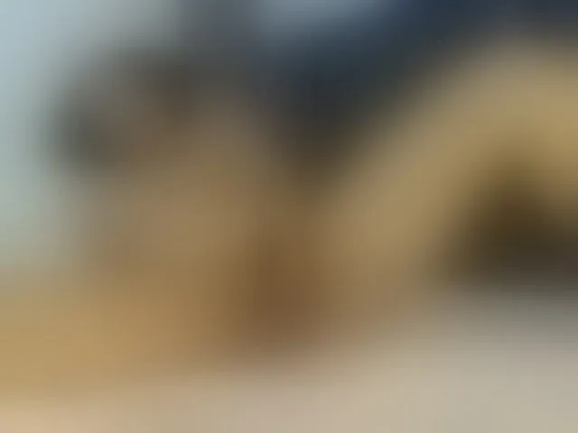 Live sex webcam photo for ChannelRhys #277423770