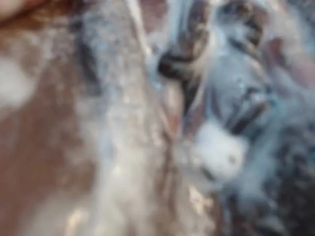 Live sex webcam photo for ChannelRhys #290801253