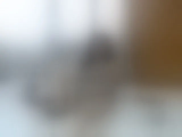 Live sex webcam photo for Charlotemple5 #293107886