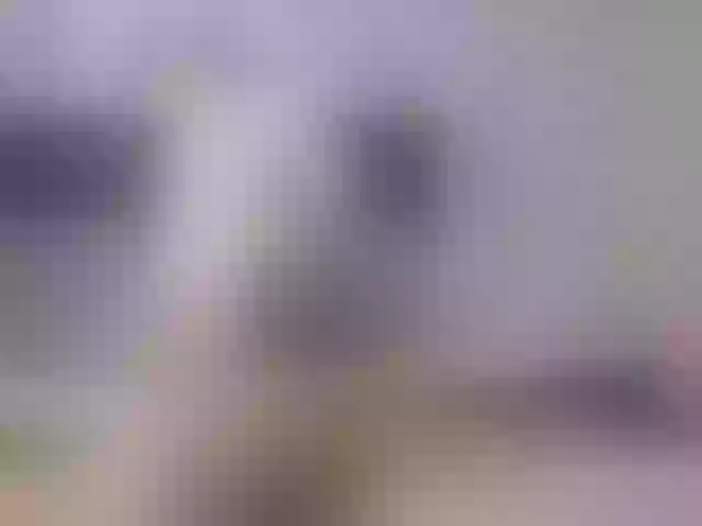 Live sex webcam photo for CharlotteMuller #291156448
