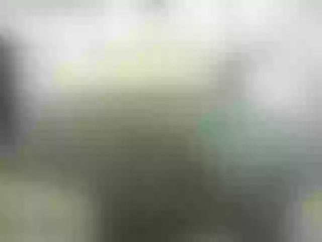 Live sex webcam photo for CharmingMan1275 #290848127