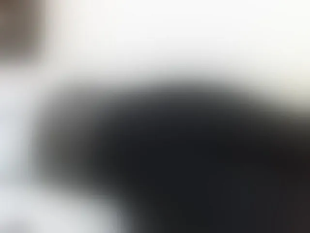 Live sex webcam photo for Charmingme #292423895