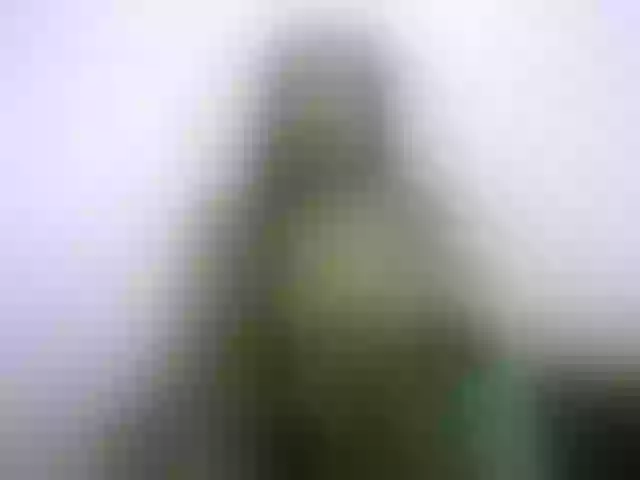 Live sex webcam photo for Chellah01 #290772150