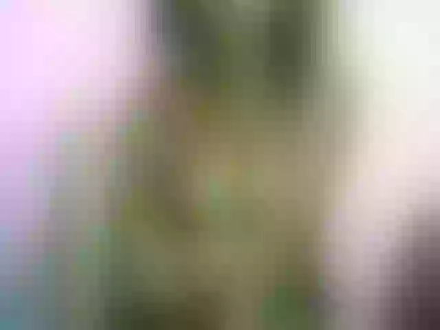 Live sex webcam photo for Chellah01 #290780970