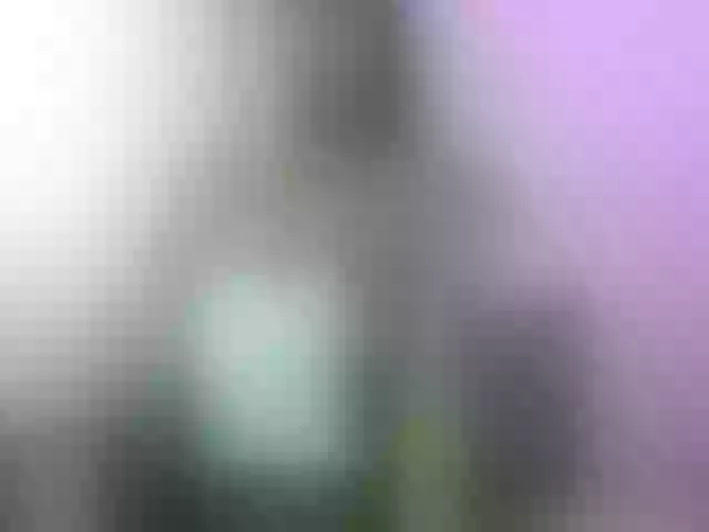 Live sex webcam photo for Chellah01 #290811179