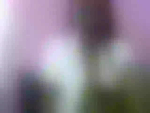 Live sex webcam photo for Chellah01 #290826003