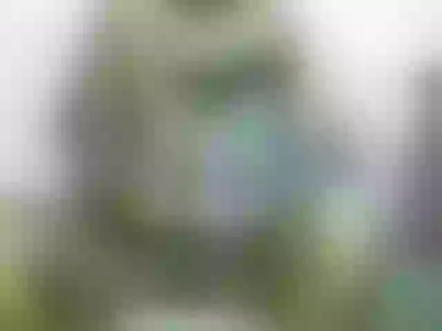 Live sex webcam photo for Chellah01 #290950870