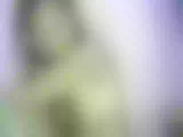 Live sex webcam photo for Chellah01 #291260144