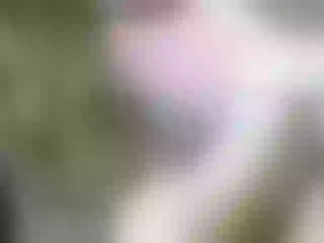 Live sex webcam photo for Chellah01 #291304990