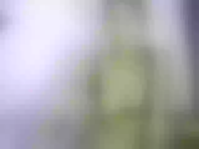 Live sex webcam photo for Chellah01 #291306766