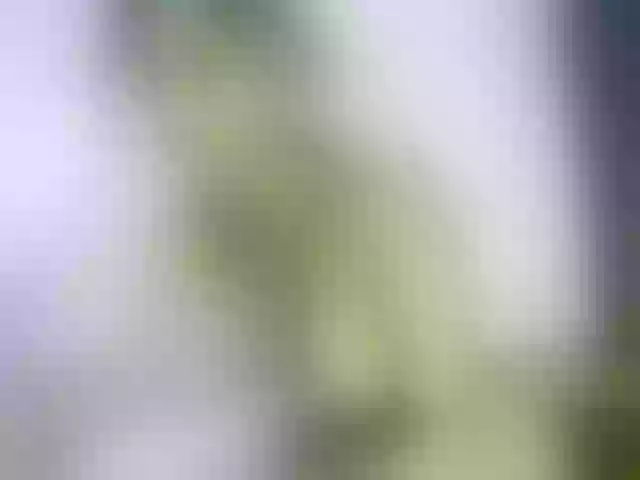 Live sex webcam photo for Chellah01 #291320159
