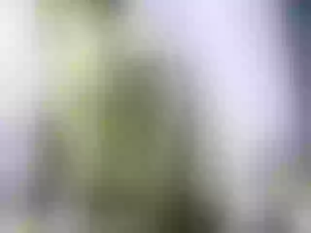Live sex webcam photo for Chellah01 #291409504