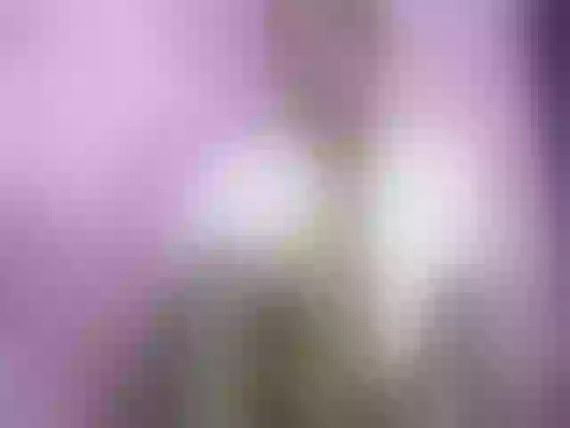 Live sex webcam photo for Chellah01 #291439157