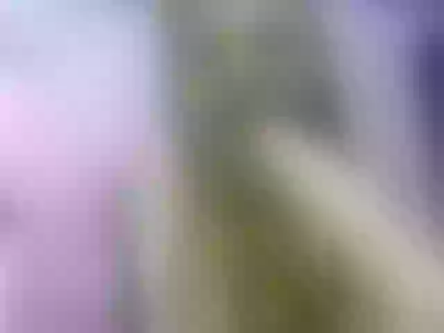 Live sex webcam photo for Chellah01 #291492789