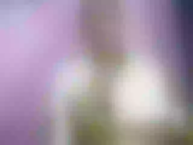 Live sex webcam photo for Chellah01 #291556769
