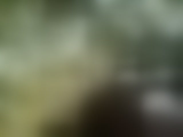 Live sex webcam photo for Chelsea7771 #294303051