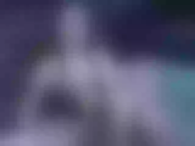 Live sex webcam photo for Cherry-Blue #291356689