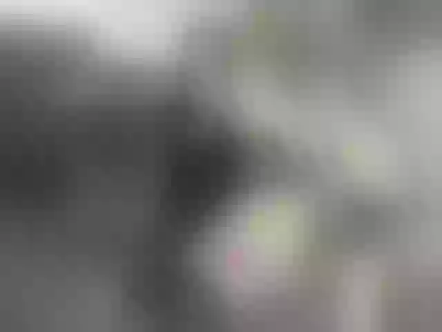 Live sex webcam photo for CherryMilfa #277480794