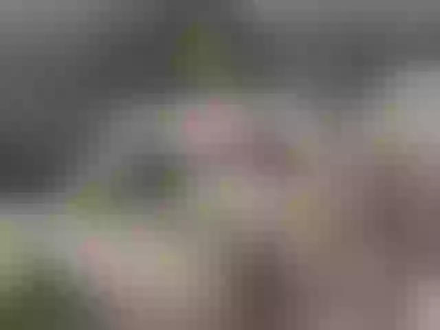 Live sex webcam photo for Cherryhell #277829456