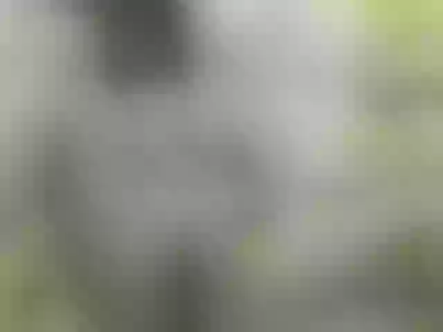 Live sex webcam photo for Cherryhell #278049486