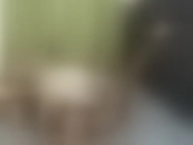Live sex webcam photo for Cheryblush #292554522
