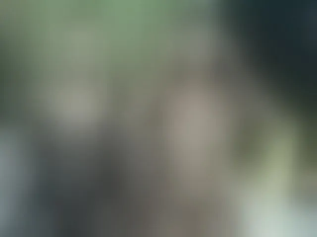 Live sex webcam photo for Cheryblush #292577767