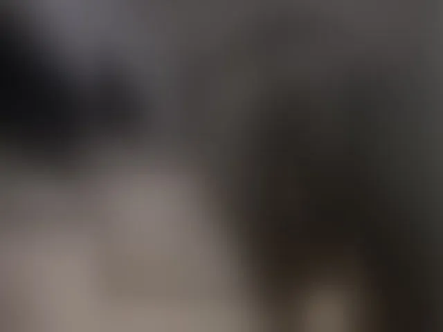 Live sex webcam photo for CheshhhireCat #278085069