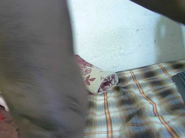 Live sex webcam photo for ChocoPanther #273352294