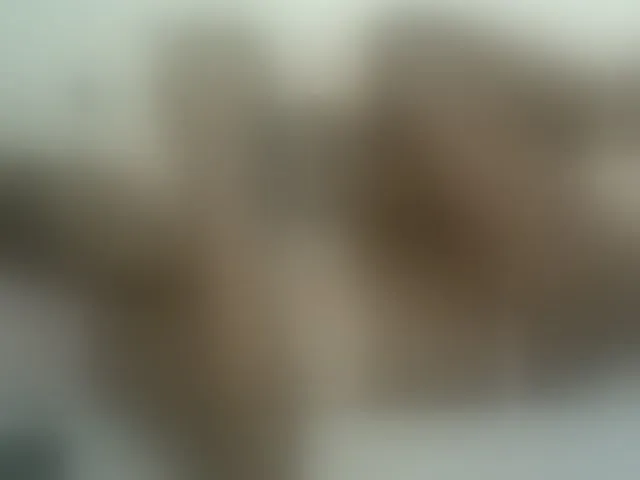 Live sex webcam photo for Chocolateskin4 #291258316
