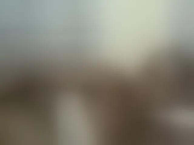Live sex webcam photo for Chocolateskin4 #292515648