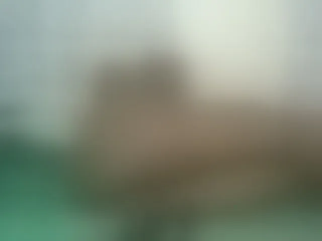 Live sex webcam photo for Chocolateskin4 #292968180