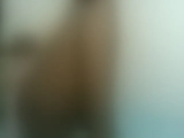 Live sex webcam photo for Chocolateskin4 #293489324