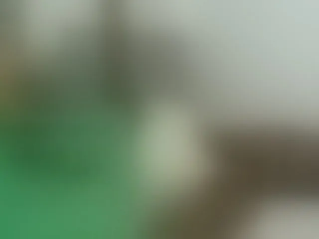 Live sex webcam photo for Chocolateskin4 #293540921