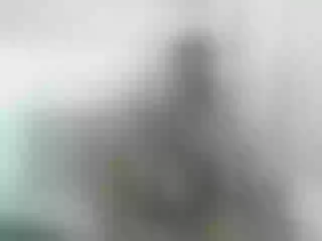 Live sex webcam photo for Chubby-world #273550236